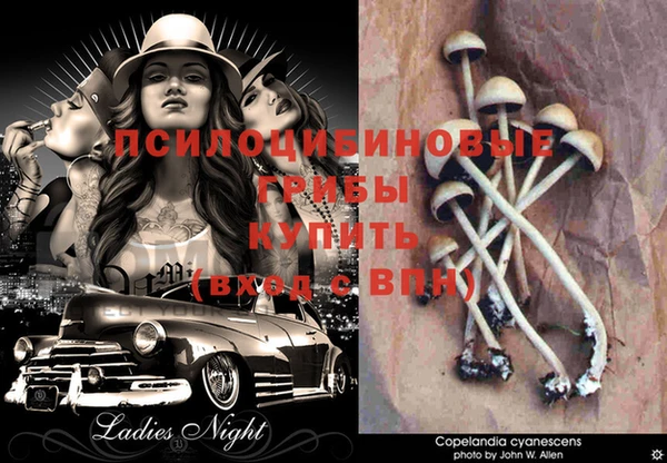 гидропоника Абдулино