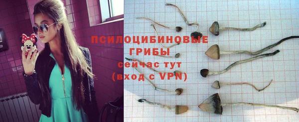 хмурый Алексин