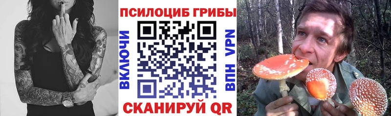 Псилоцибиновые грибы Magic Shrooms  Приволжск 