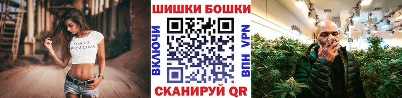 Бошки марихуана конопля  как найти закладки  Приволжск 